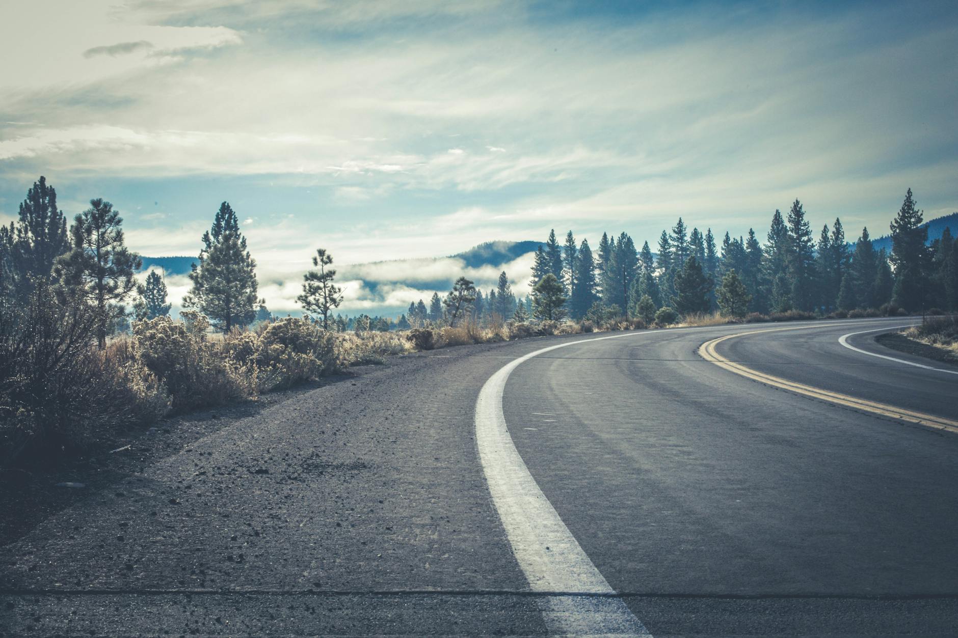 gray concrete road near forest